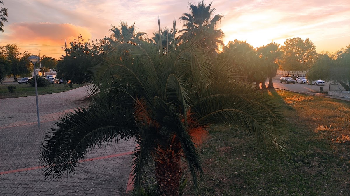 Instituto Politécnico de Beja photo 1