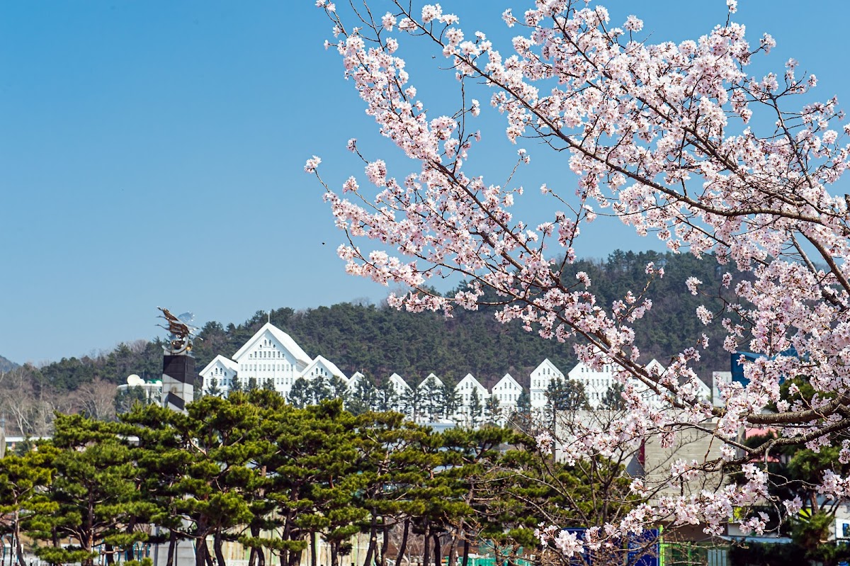 Chosun University photo 3