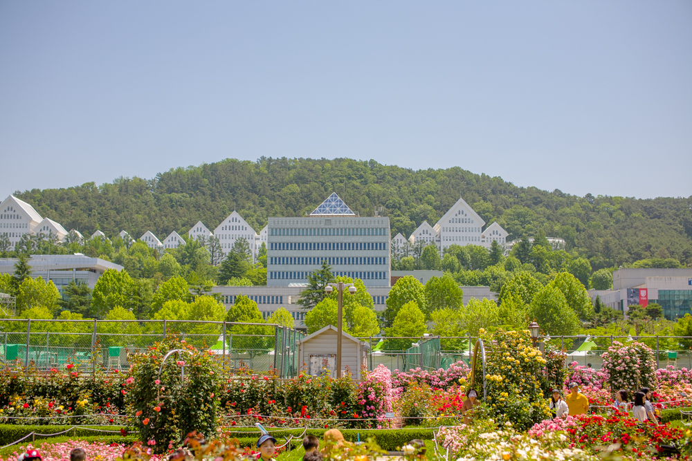 Chosun University photo 5