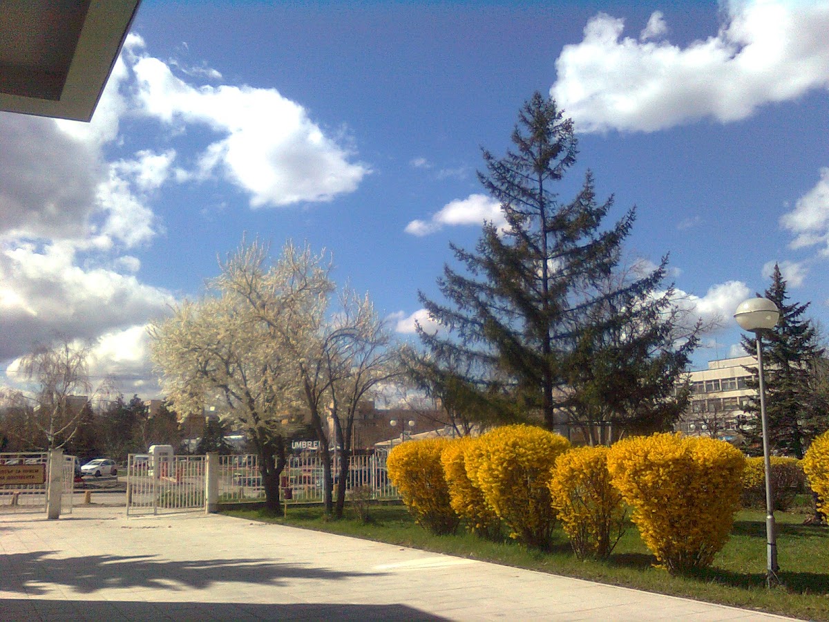 University of National and World Economy photo 6