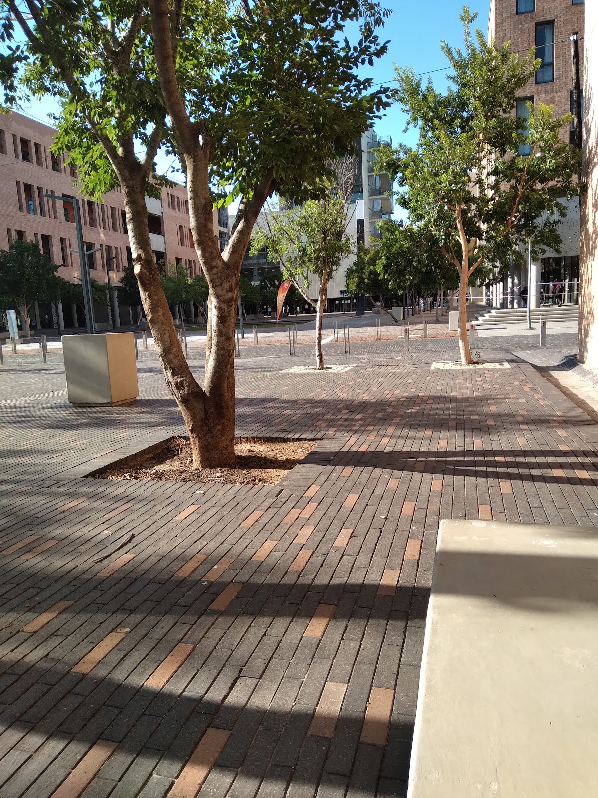 Sol Plaatje University photo 8
