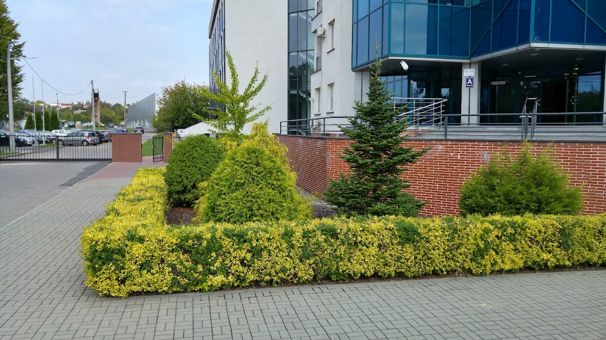 Medical University of Silesia photo 1