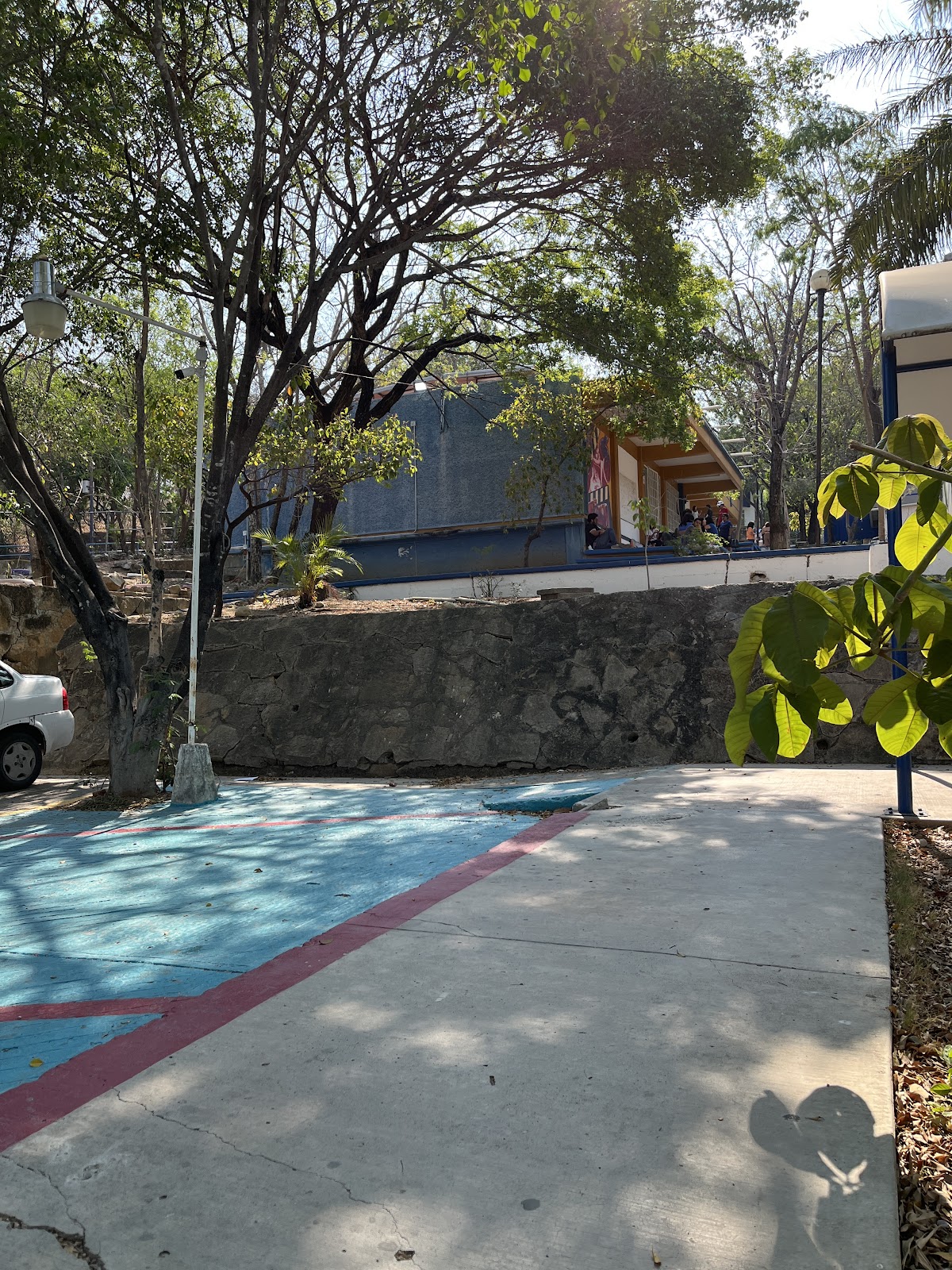 Autonomous University of Chiapas photo 6