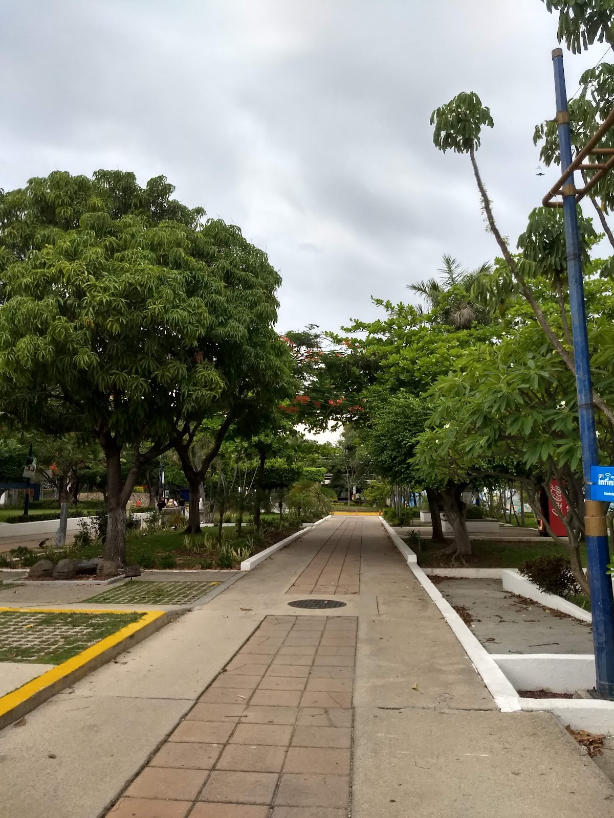 Autonomous University of Chiapas photo 8