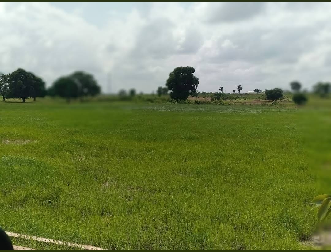 Federal University, Lafia photo 3