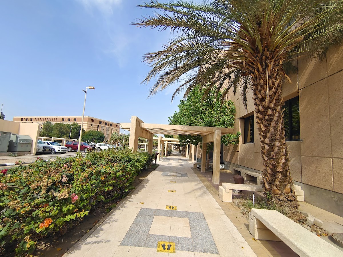 King Abdulaziz University photo 6