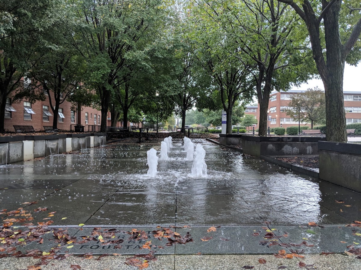 Capital University photo 4