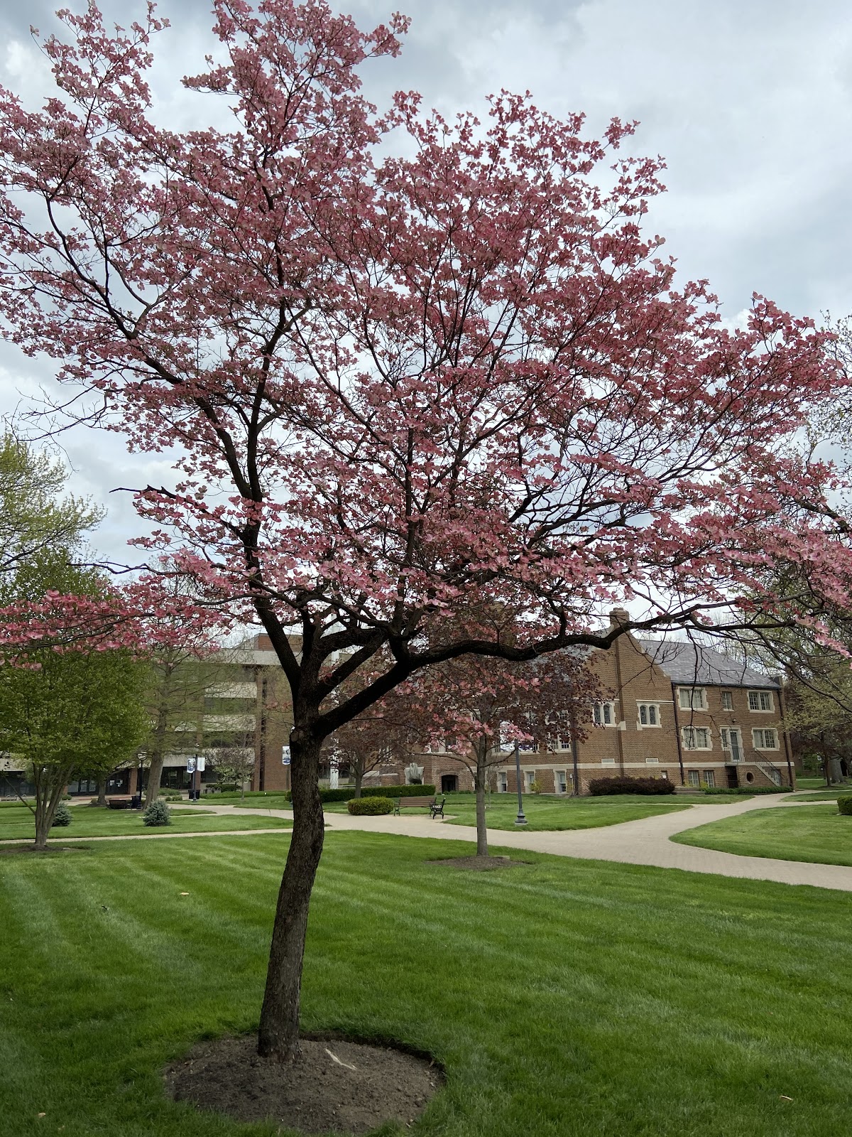 Capital University photo 7