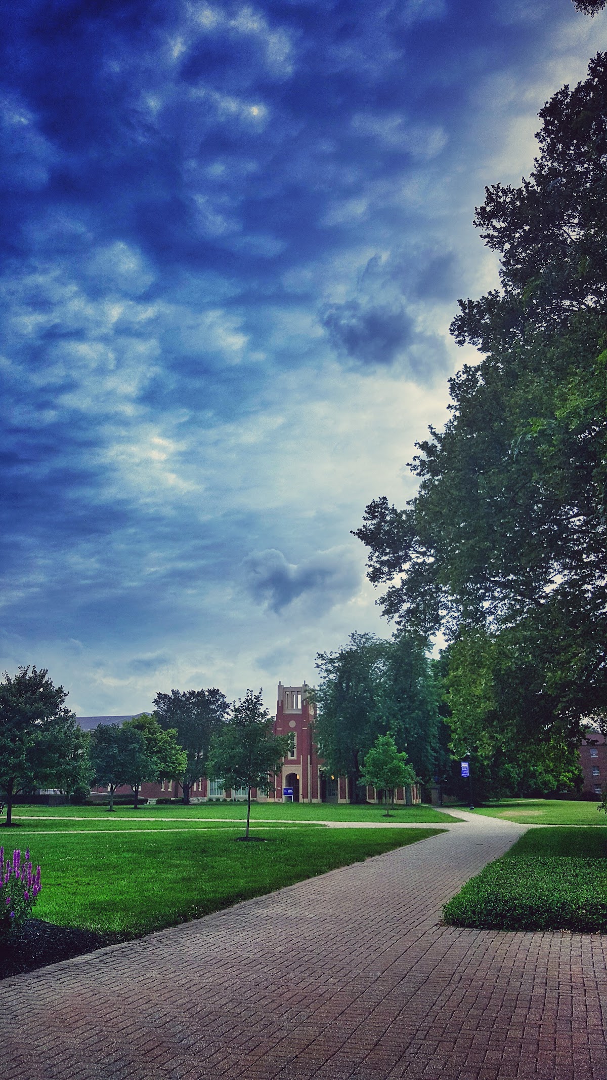 Capital University photo 8