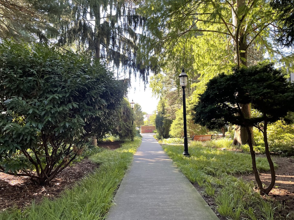 Hofstra University photo 5