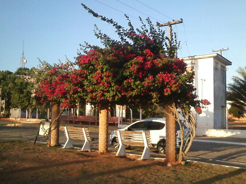 Federal University of Alagoas photo 6