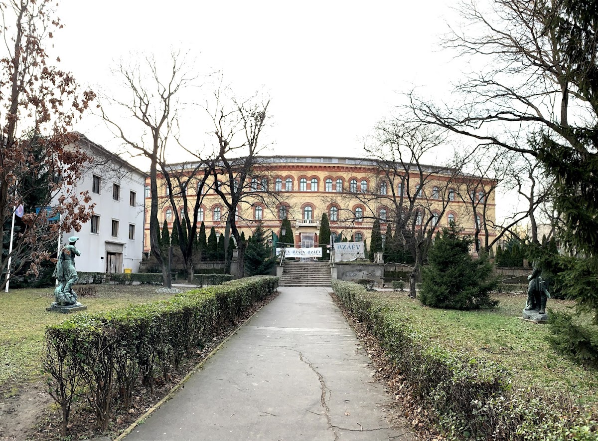Hungarian University of Sports Science photo 1