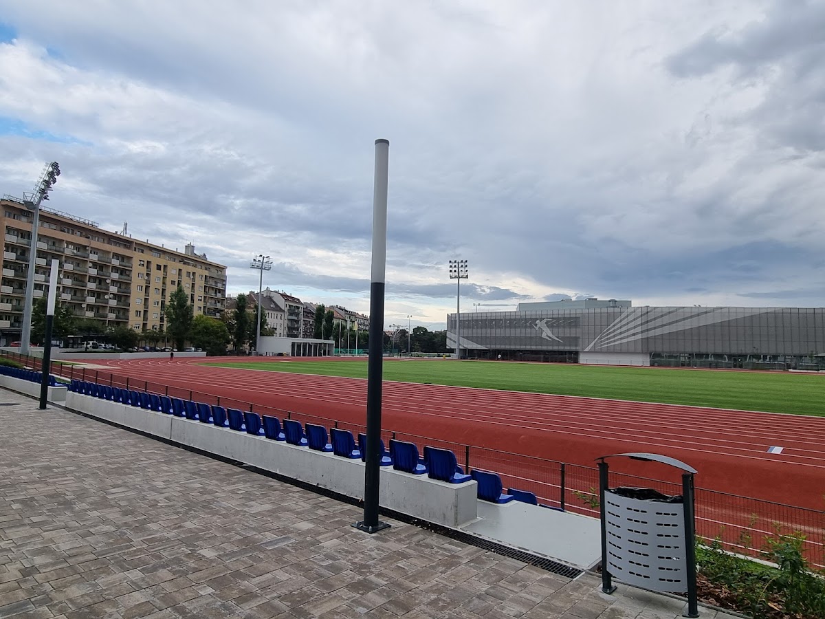 Hungarian University of Sports Science photo 3