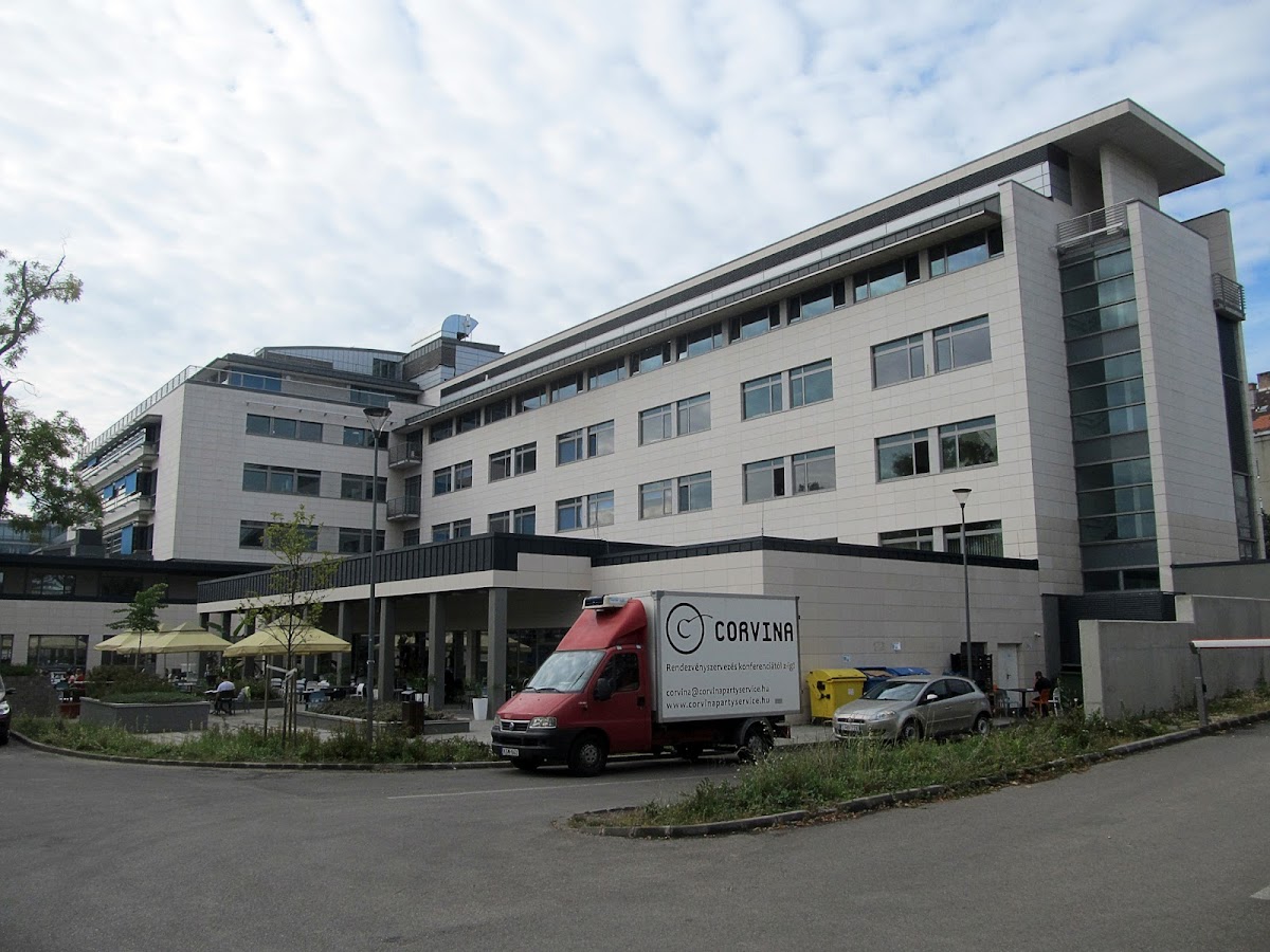 Hungarian University of Sports Science photo 4