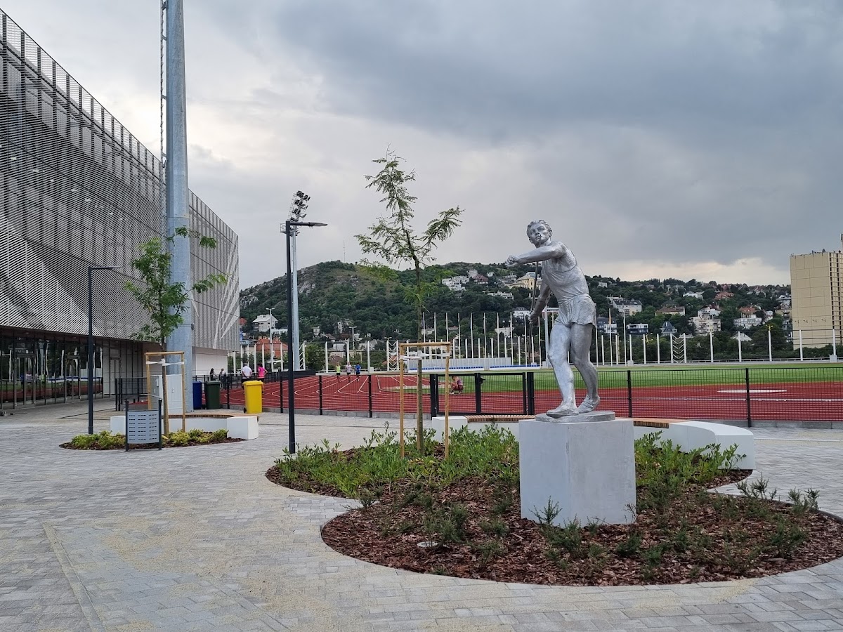 Hungarian University of Sports Science photo 7