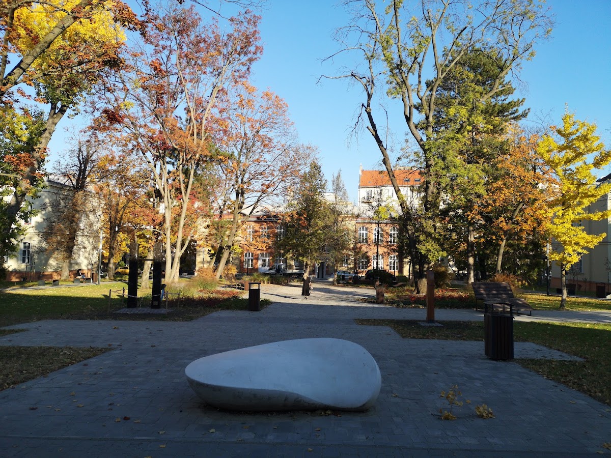 Hungarian University of Sports Science photo 8