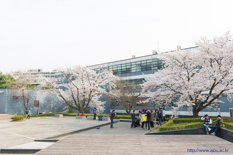 Ajou University