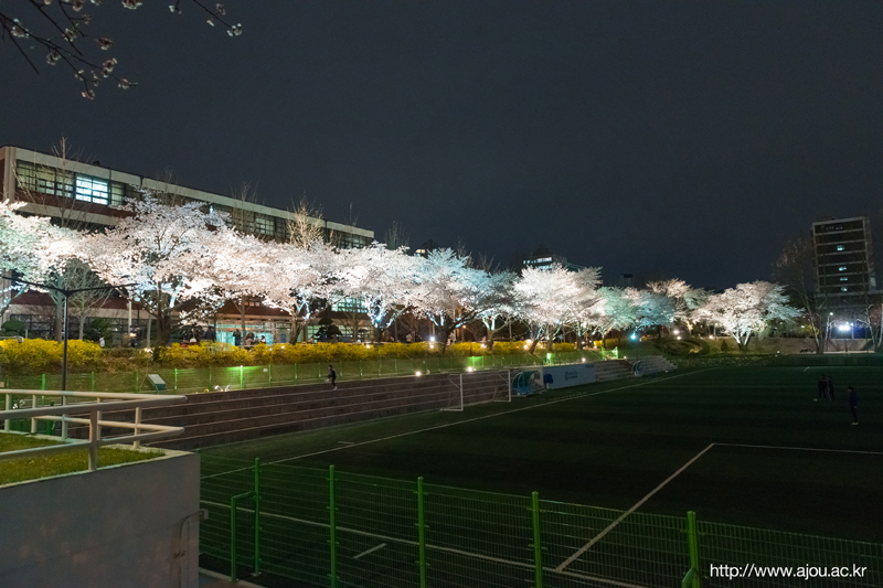 Ajou University photo 1