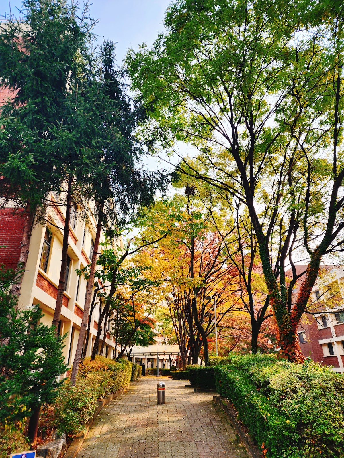 Ajou University photo 9