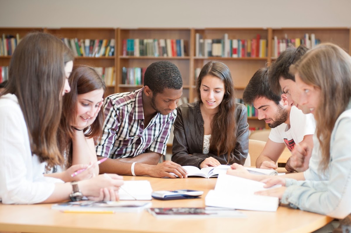 Instituto Politécnico de Castelo Branco photo 1