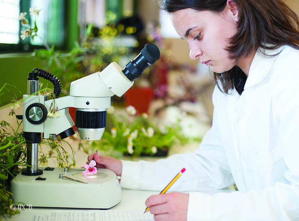 Instituto Politécnico de Castelo Branco photo 8