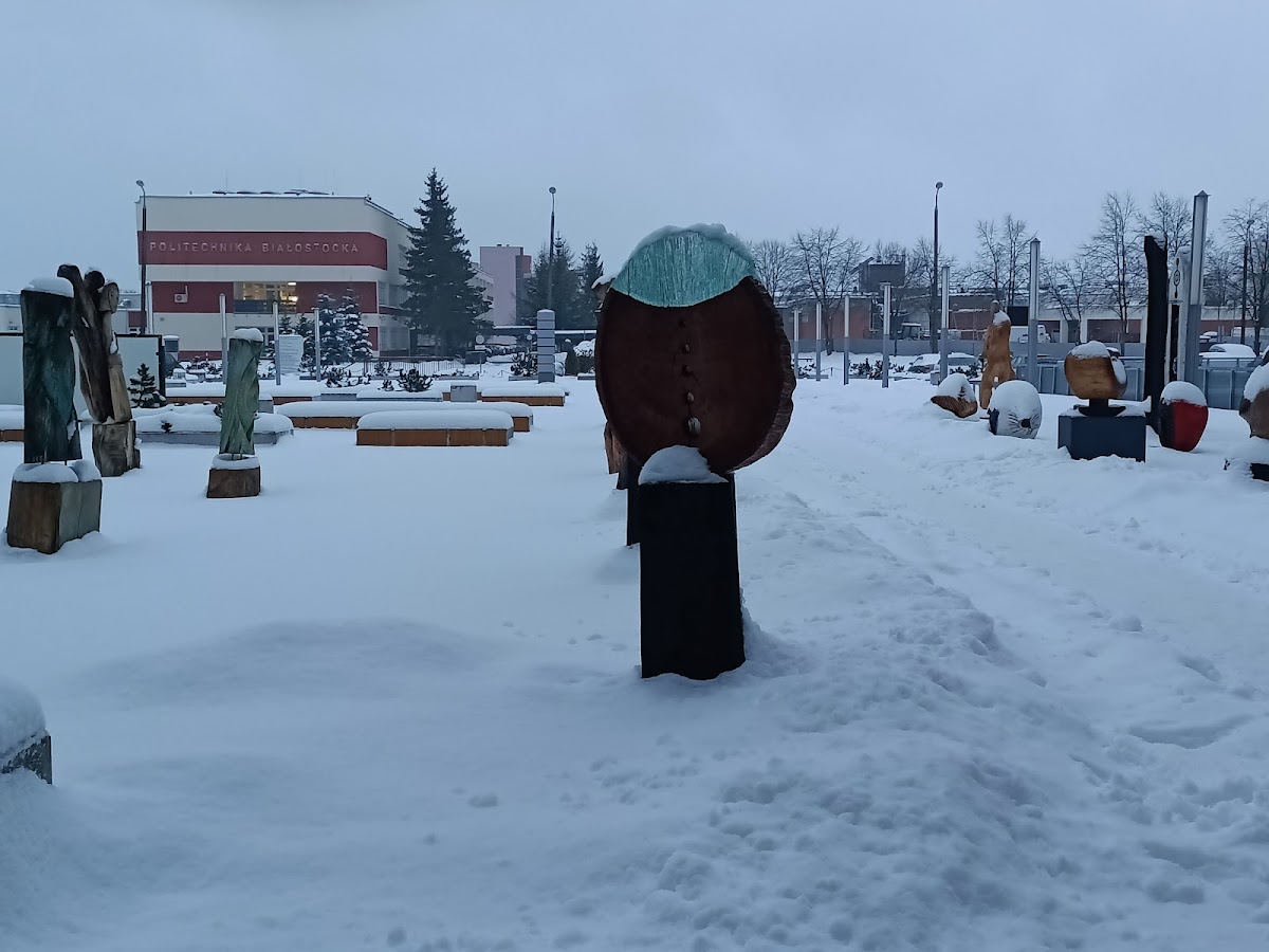 Bialystok University of Technology photo 7