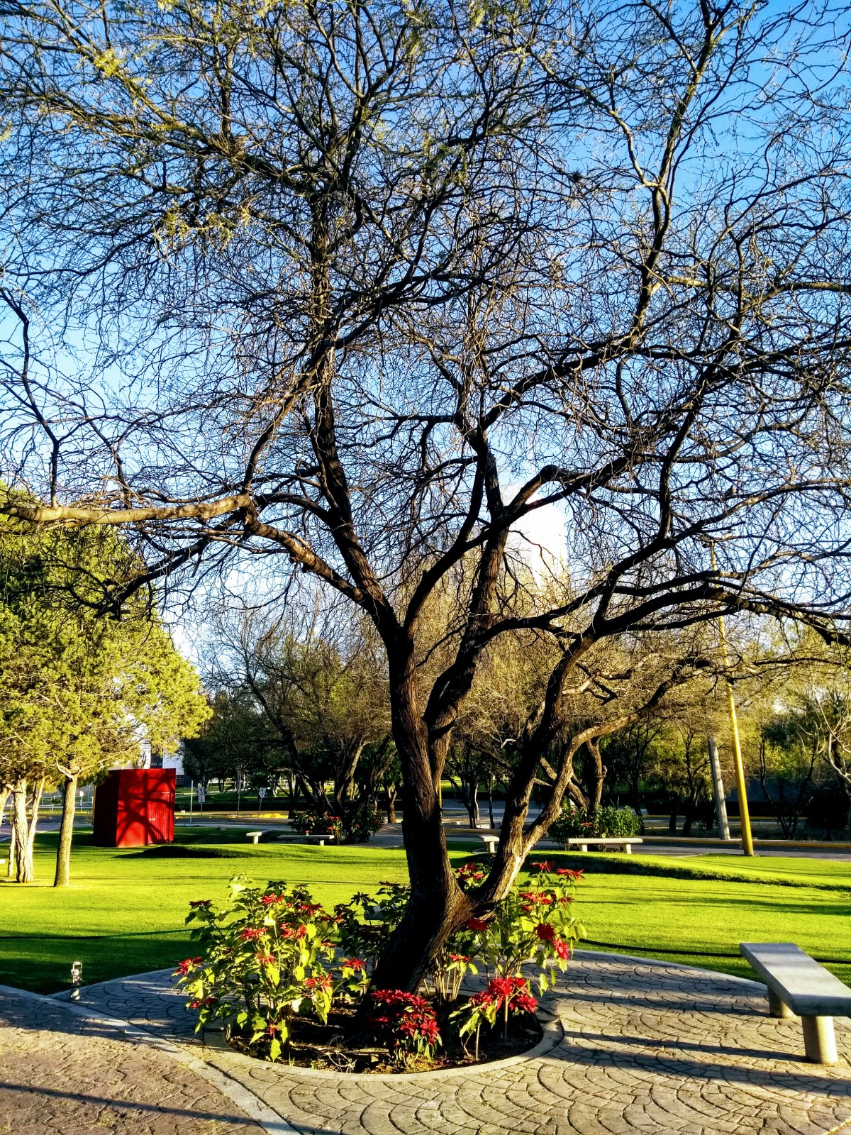 Autonomous University of Aguascalientes photo 9