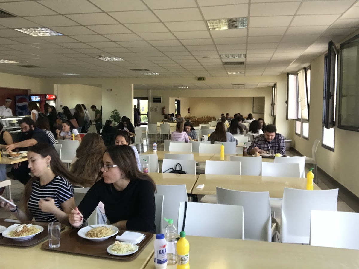 University of the Aegean - Lesvos photo 8