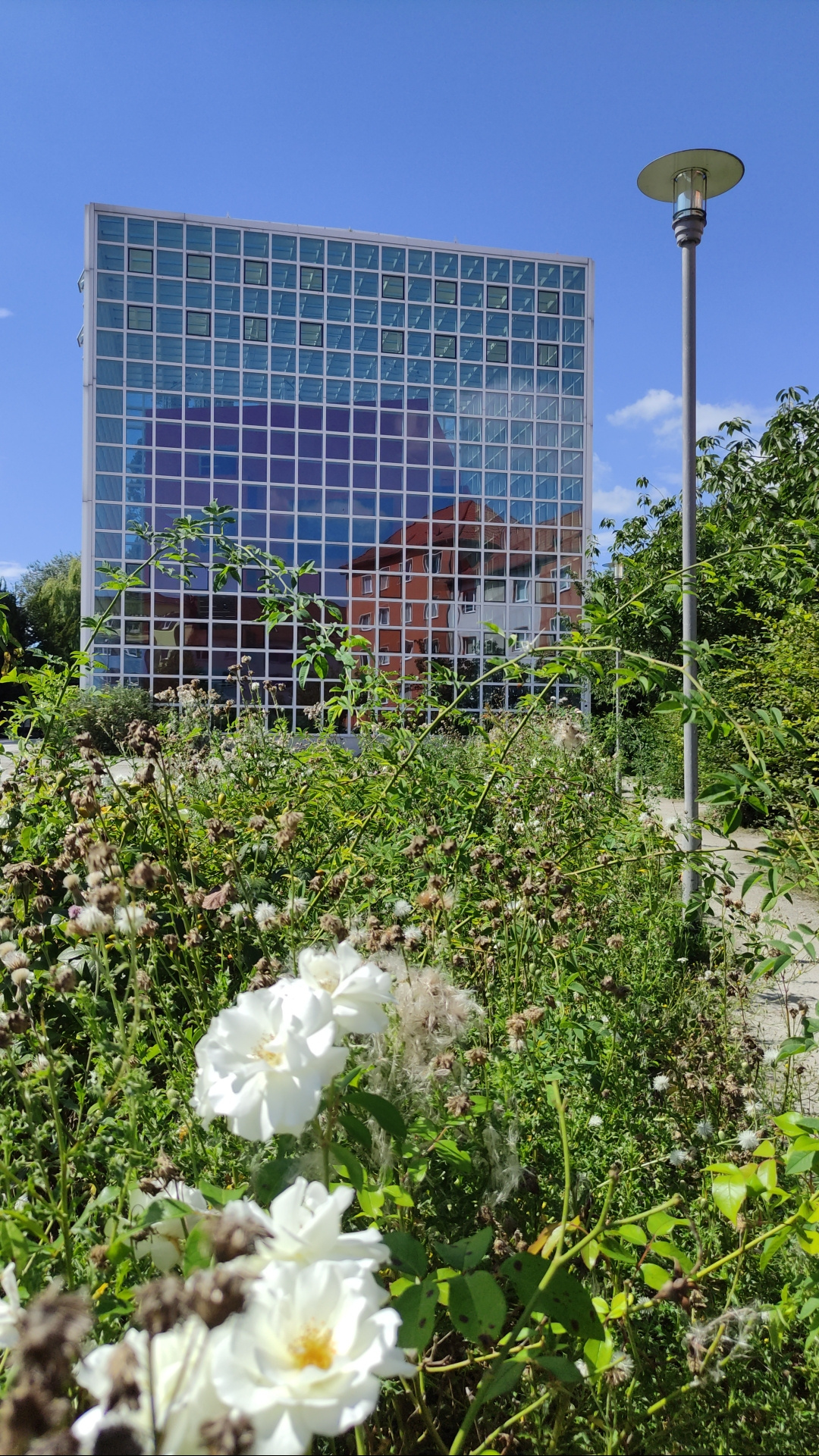 Hochschule für Bildende Künste Braunschweig photo 8