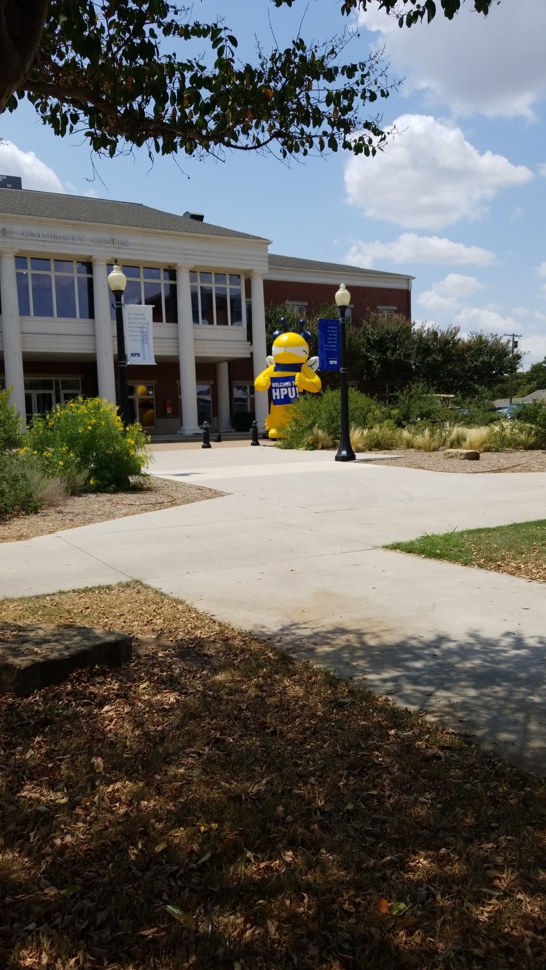 Howard Payne University photo 8