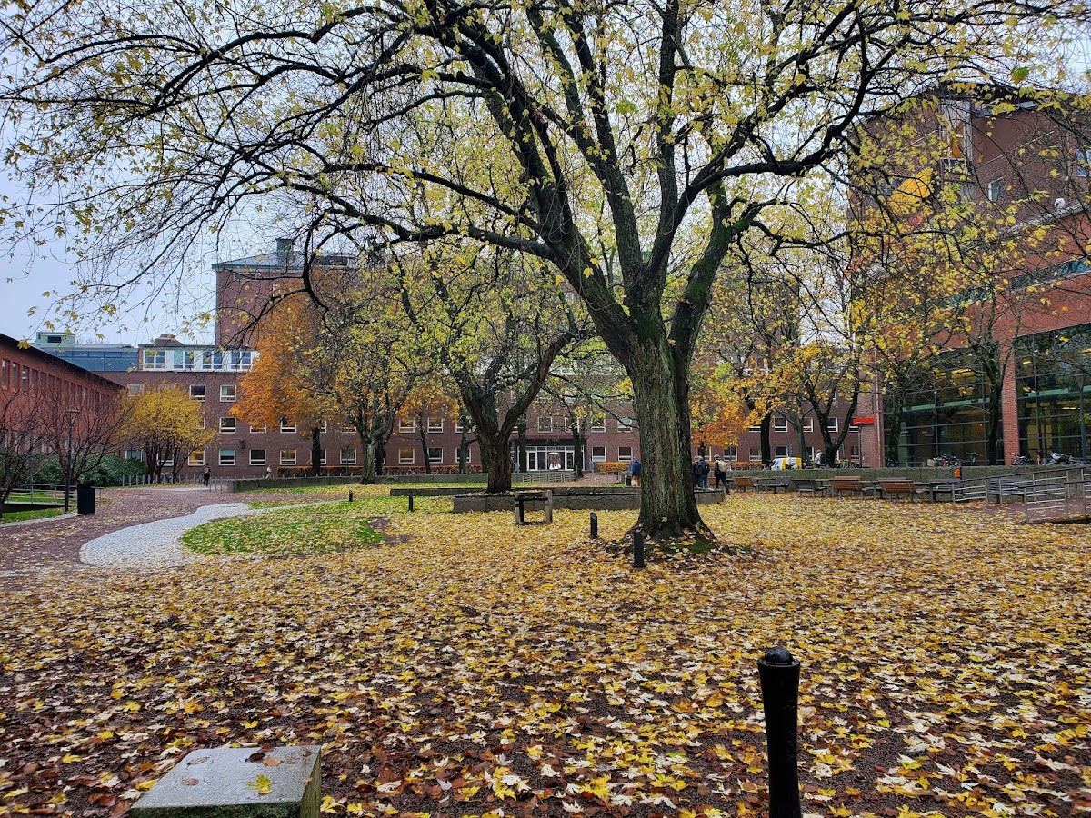 Chalmers University of Technology photo 3