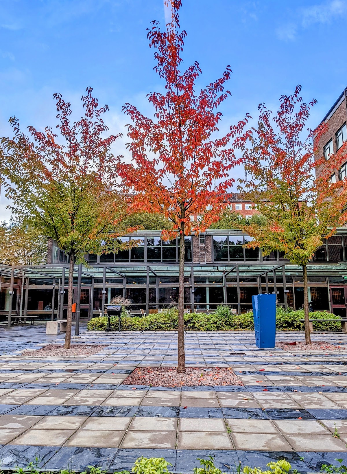 Chalmers University of Technology photo 9