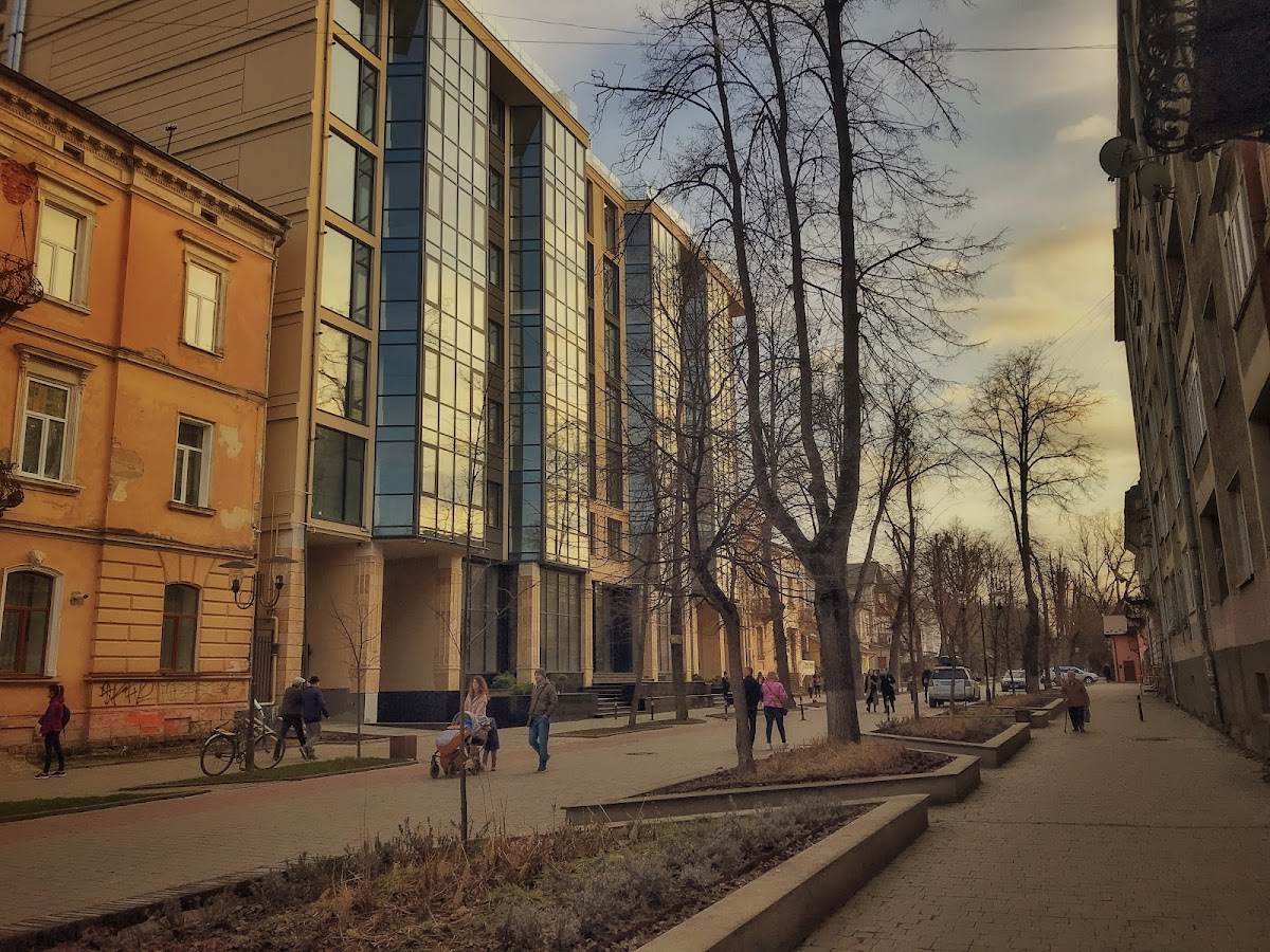 Vasyl Stefanyk Precarpathian National University photo 7