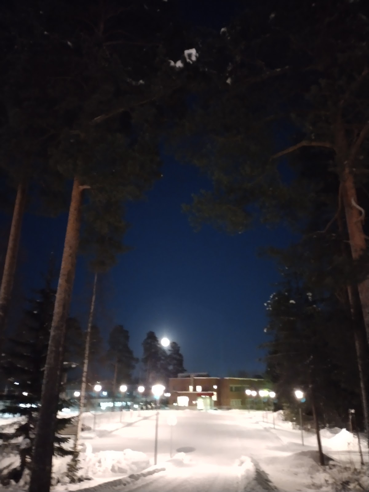 Kajaani University of Applied Sciences photo 9