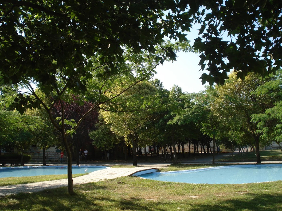 University of Ioannina - Arta photo 2