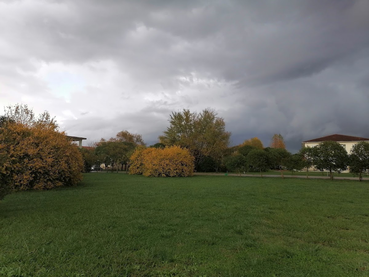 University of Ioannina - Arta photo 3