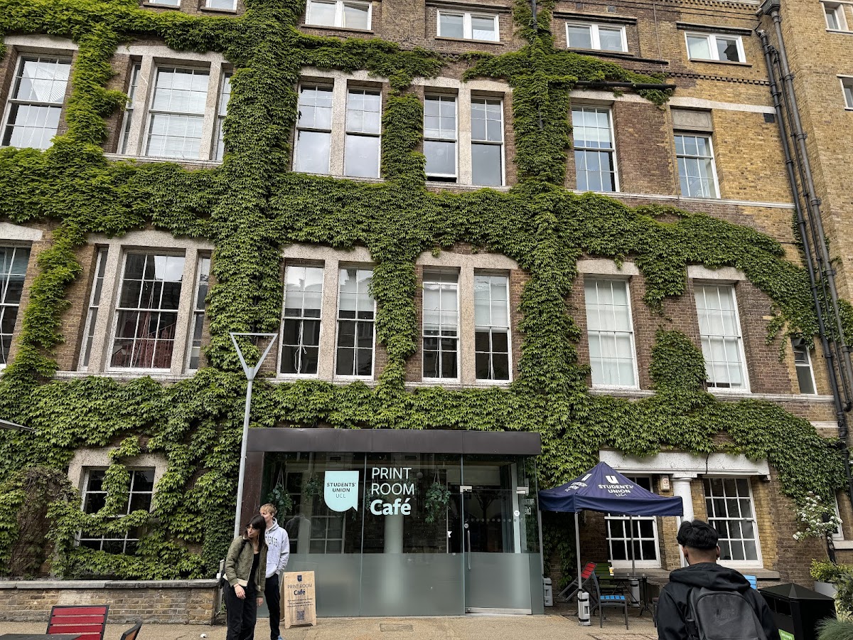 University College London photo 9