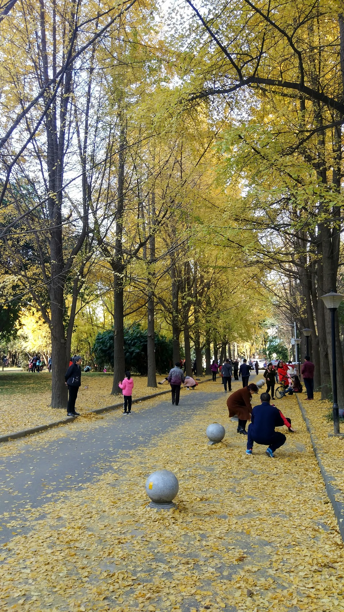 Southwest Jiaotong University photo 8