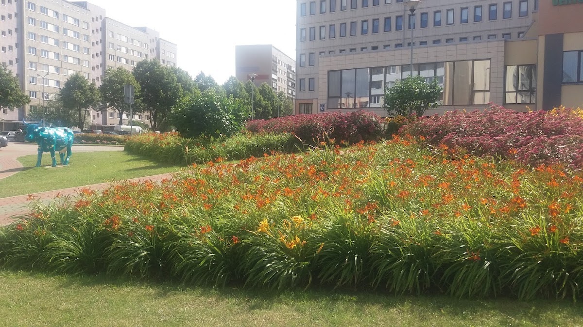 Ventspils University of Applied Sciences photo 1