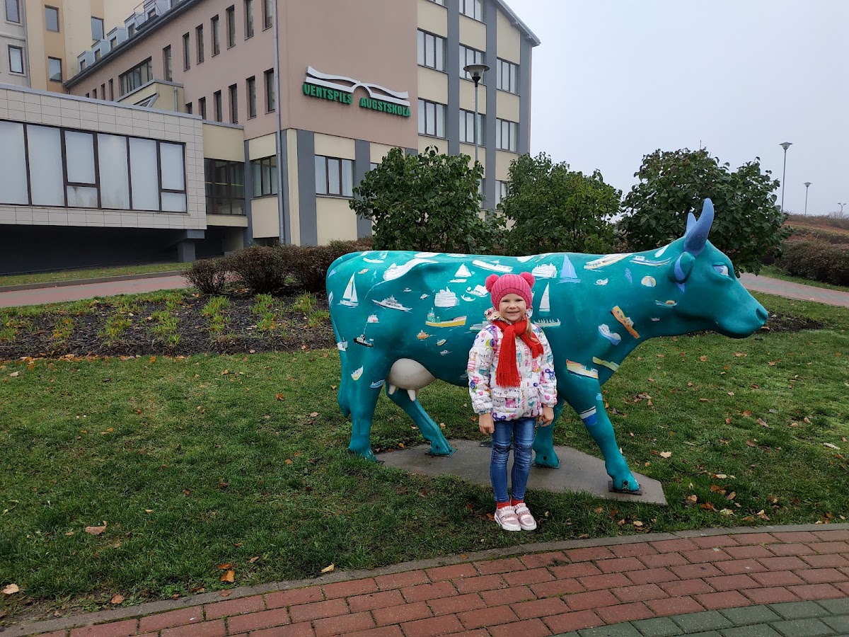 Ventspils University of Applied Sciences photo 7