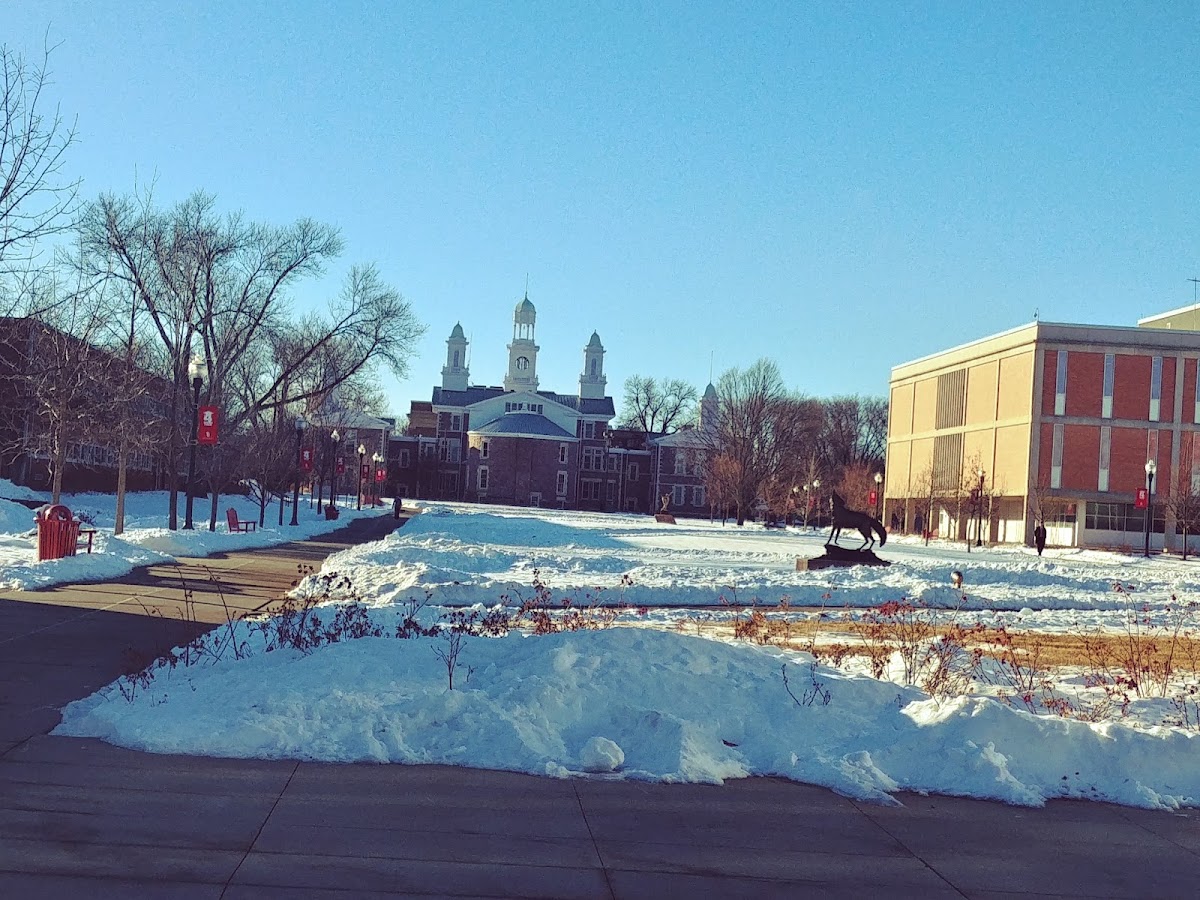 University of South Dakota photo 6
