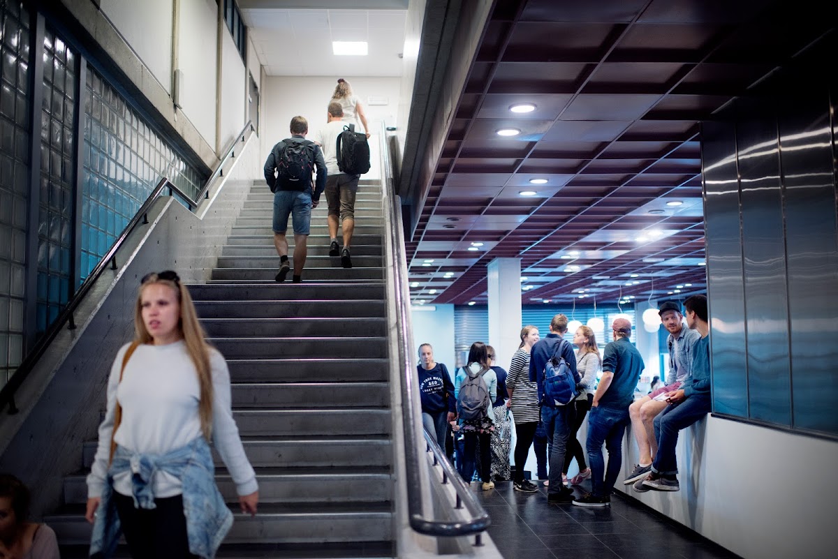 MF Norwegian School of Theology, Religion and Society photo 2