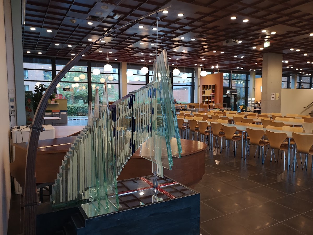 MF Norwegian School of Theology, Religion and Society photo 5