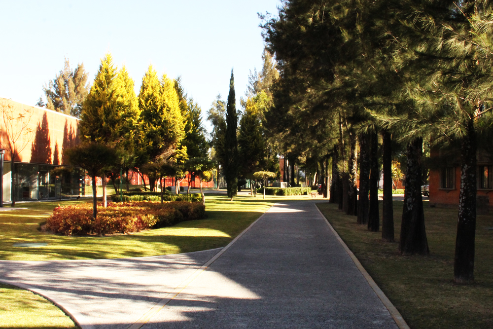 University of the Americas Puebla