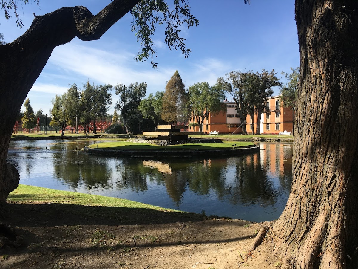 University of the Americas Puebla photo 5