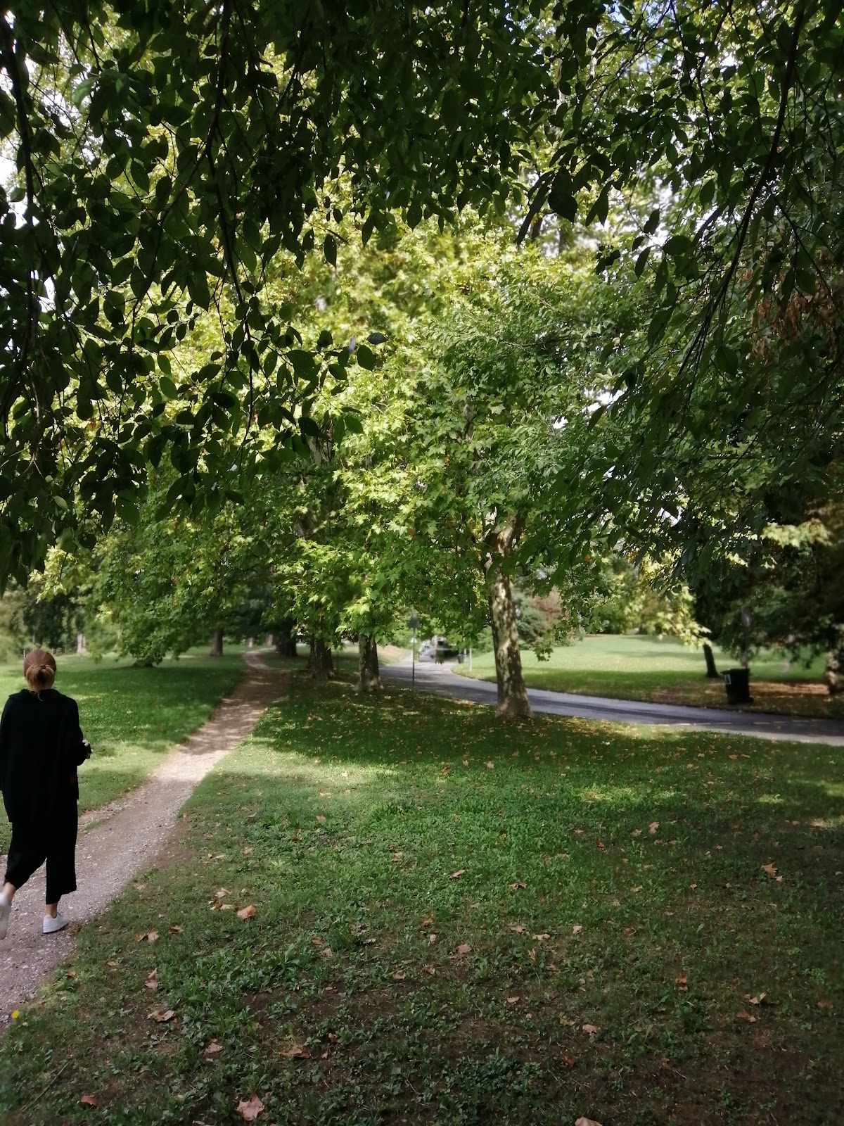 University of Applied Sciences Western Switzerland (HES-SO) photo 7