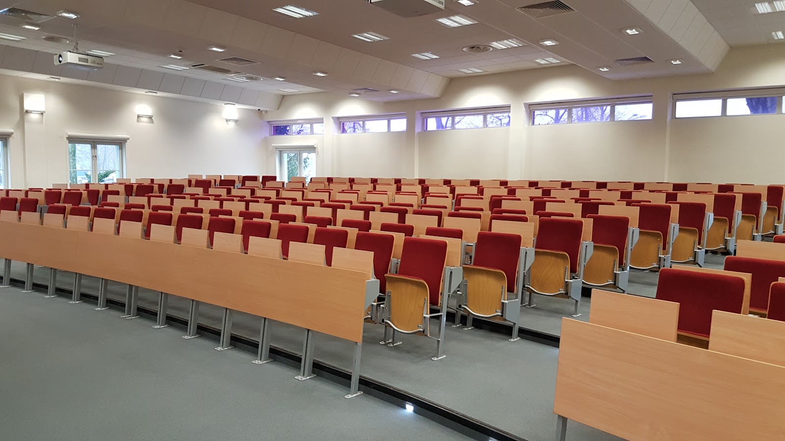 The Leon Koźmiński University