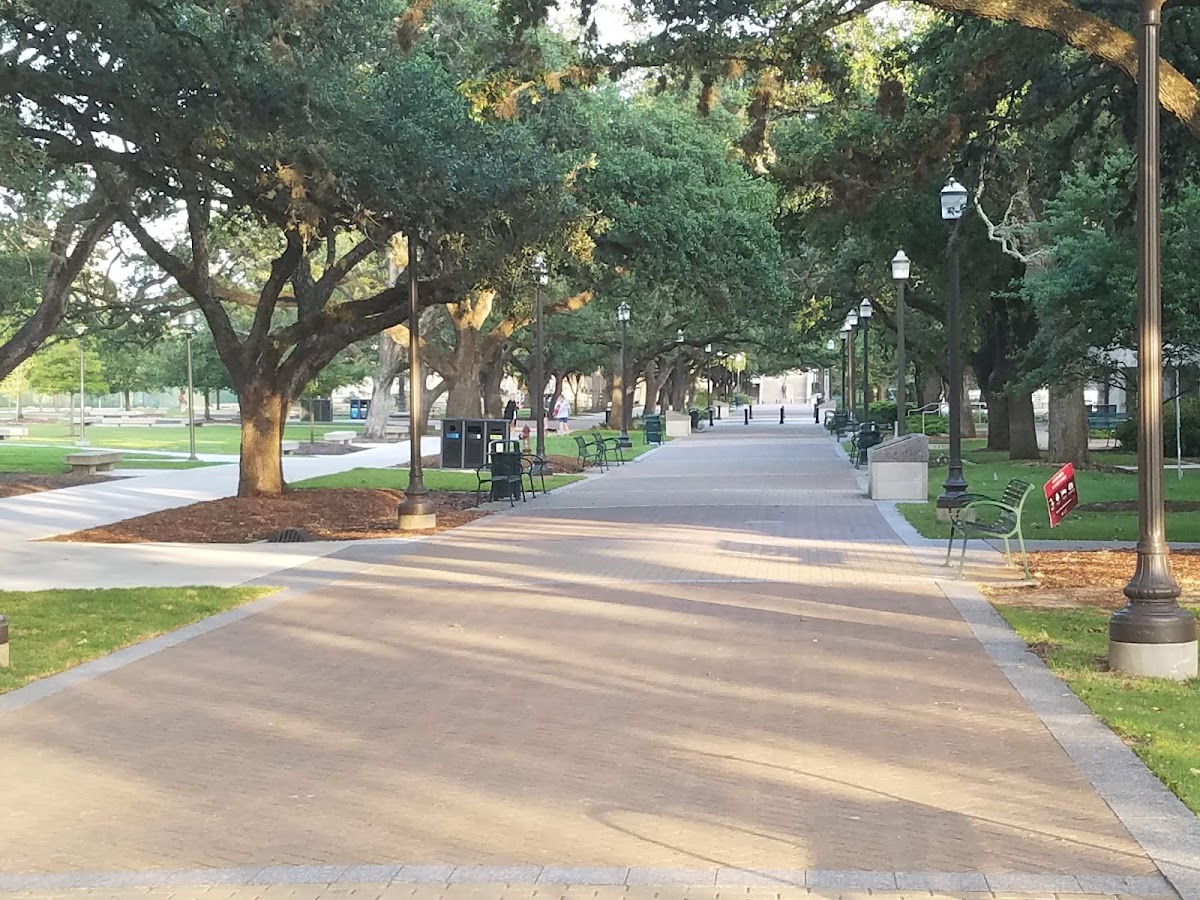 Texas A&M University photo 7