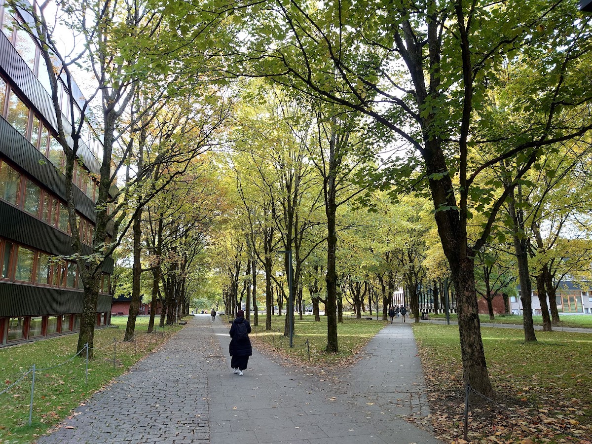 Norwegian School of Information Technology photo 2