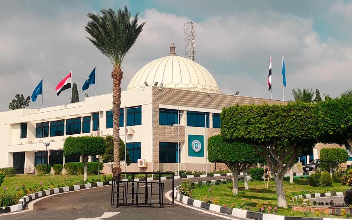 Suez Canal University photo 2